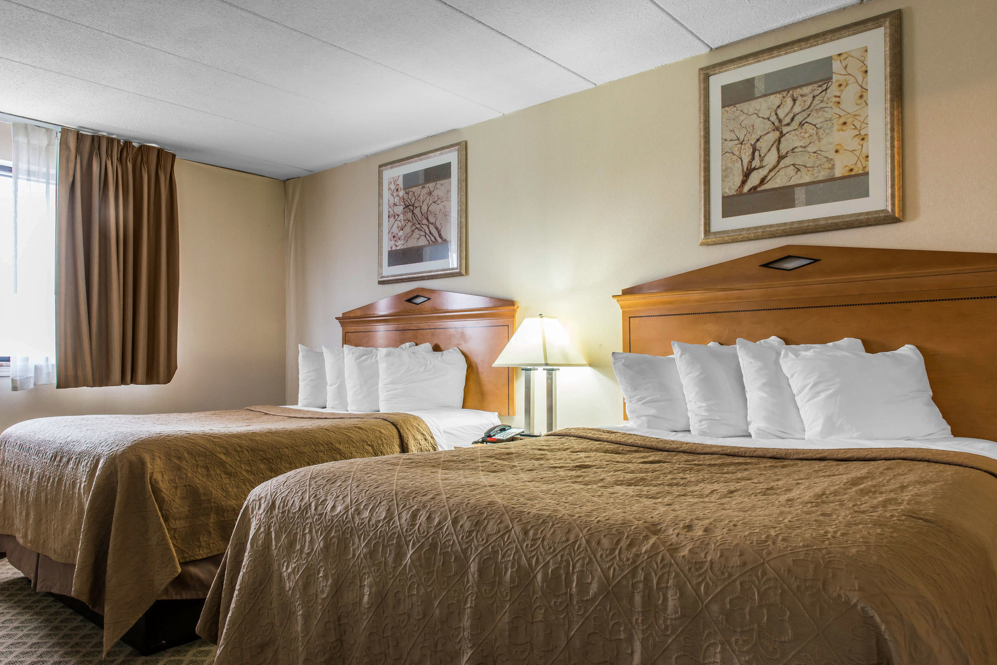 Fairview  Quality Inn & Suites חדר תמונה